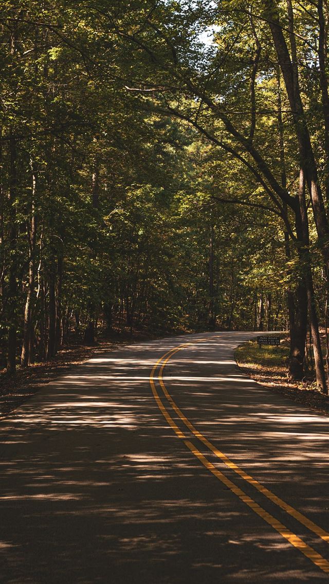 640x1136 road surrounded by trees during day - nc iPhone Wallpaper