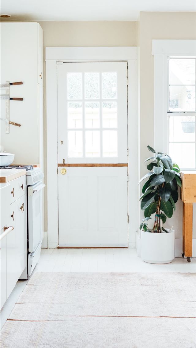 640x1136 green potted leaf plant beside white wooden door - website iPhone Wallpaper