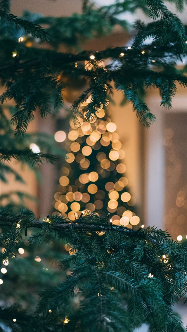 Christmas tree with string lights iPhone wallpaper 