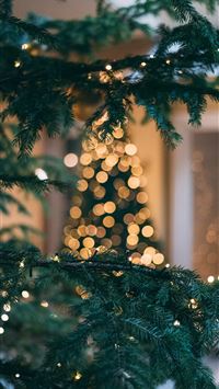 Christmas tree with string lights wallpaper