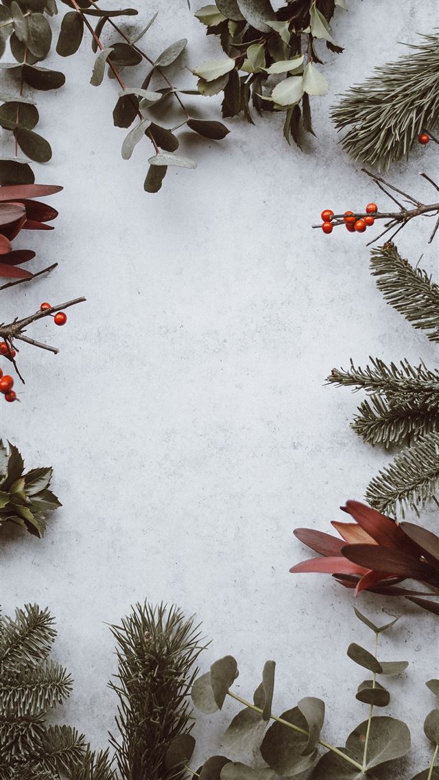 640x1136 green leafed plants - holiday iPhone Wallpaper