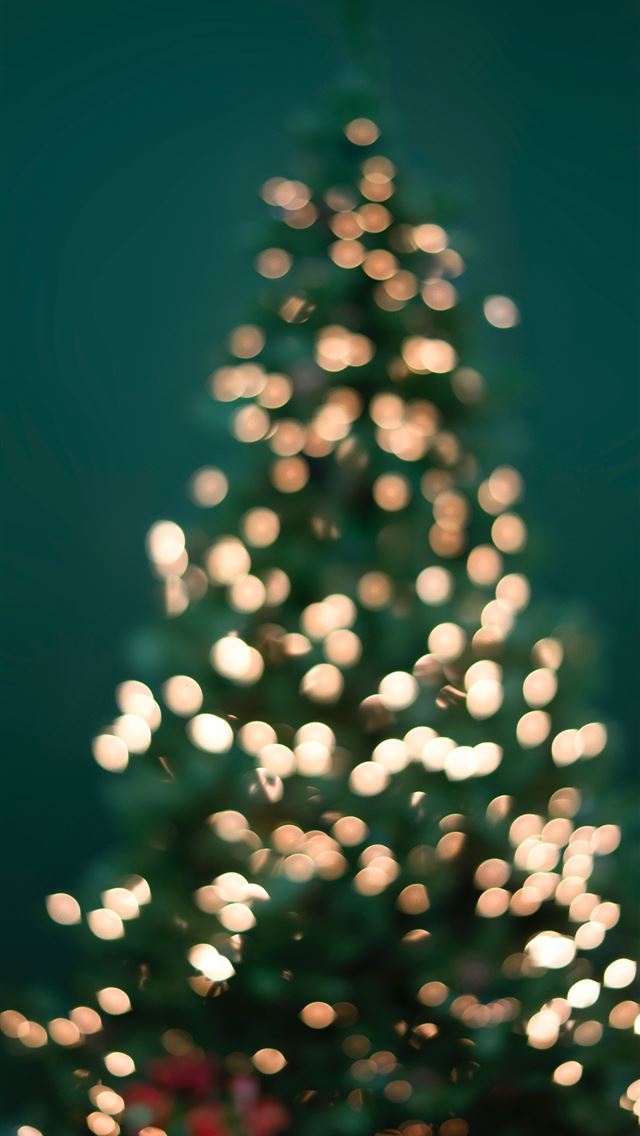 640x1136 boke photography of christmas tree and string ligh... - holiday iPhone Wallpaper