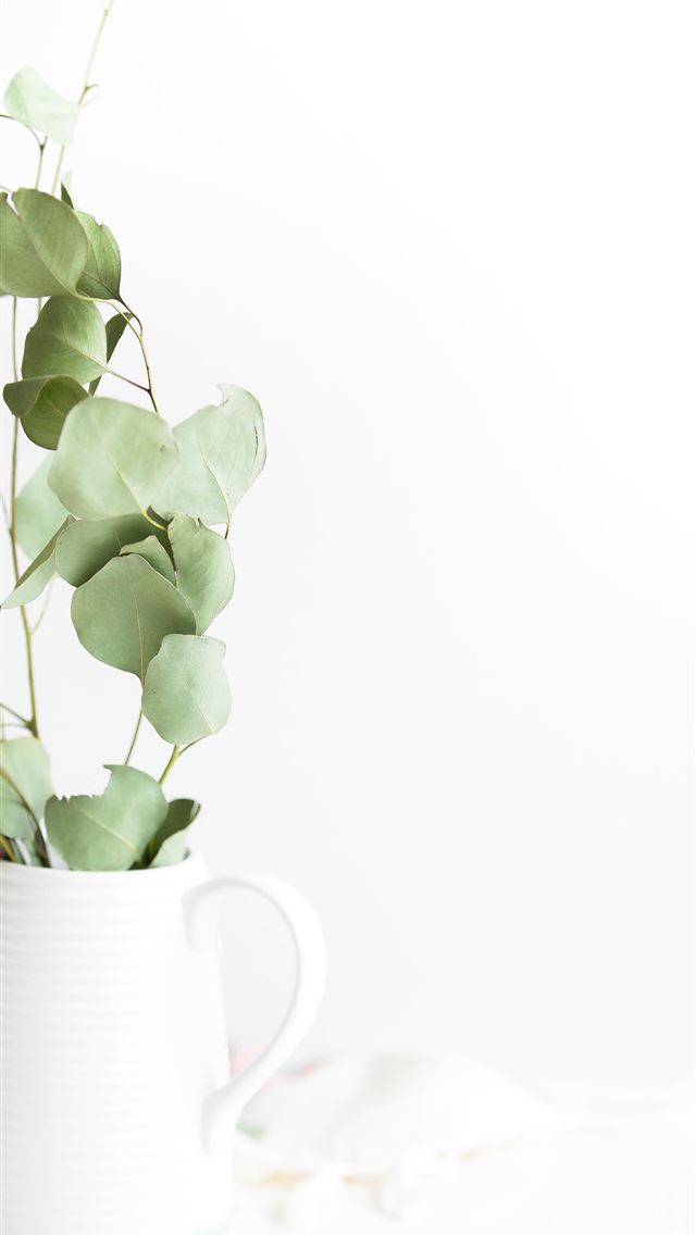 640x1136 green plant potted on white ceramic vase - green iPhone Wallpaper