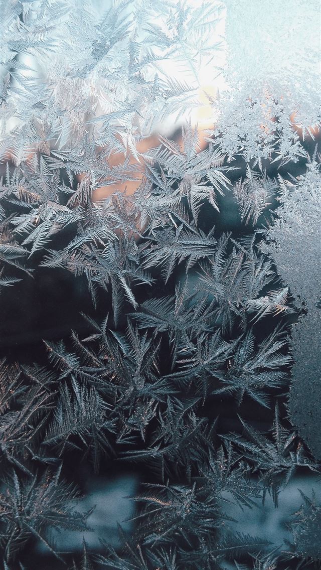 640x1136 white leaves - united states iPhone Wallpaper