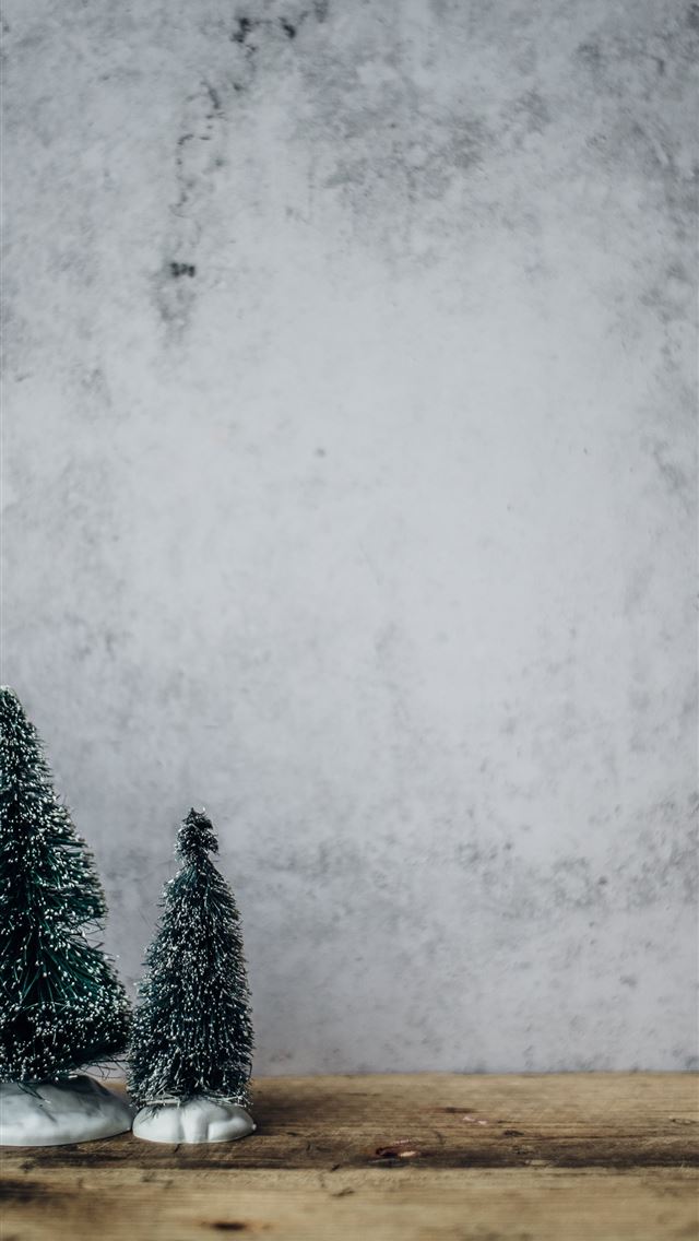 640x1136 three green pine tree miniature near gray concrete... - holiday iPhone Wallpaper