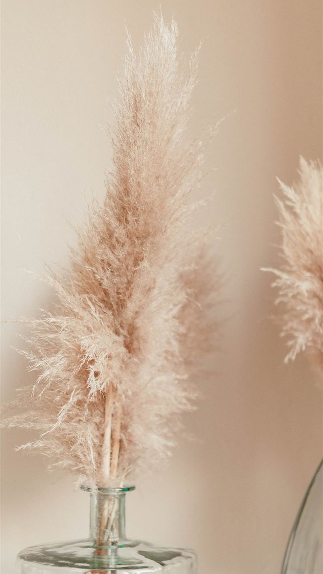 640x1136 two clear glass bottles -  iPhone Wallpaper