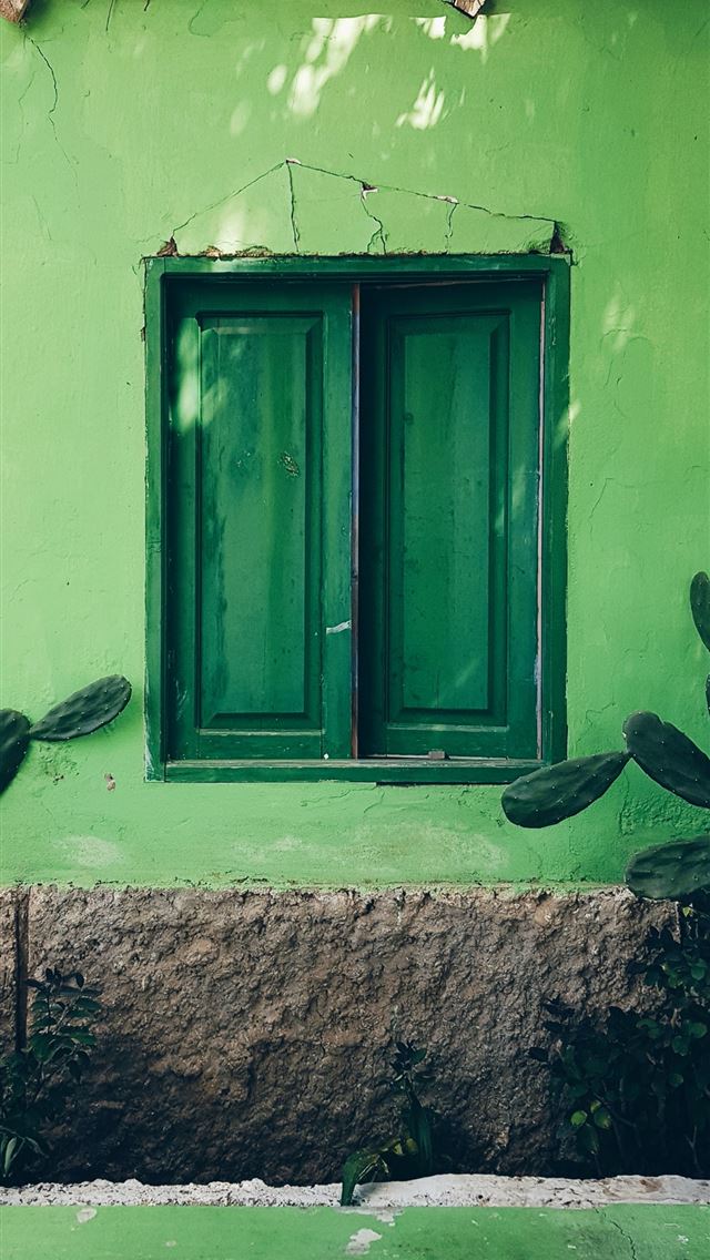 640x1136 closed green wooden window - green iPhone Wallpaper
