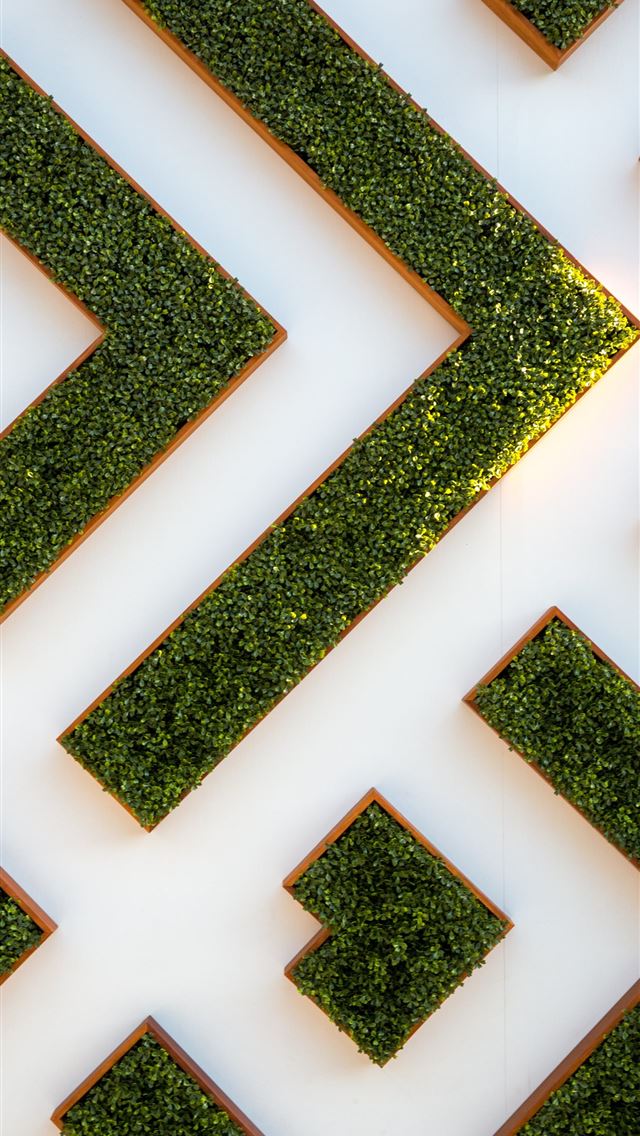 640x1136 bird's eye view of maze garden - pattern iPhone Wallpaper