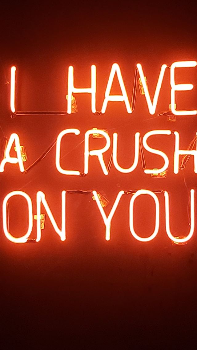 640x1136 orange i have a crush on you neon light signage - quotes iPhone Wallpaper