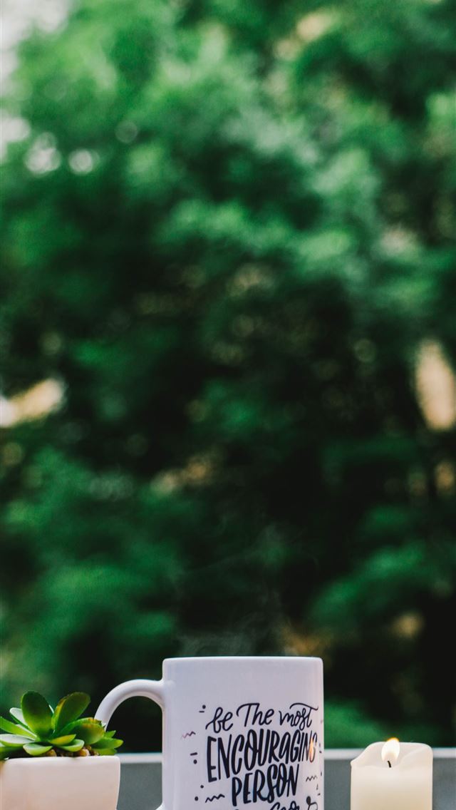 640x1136 shallow focus photography of white mug and succule... - lviv iPhone Wallpaper