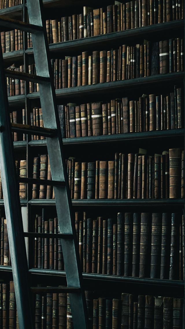 Books Library Collection Reading  iPhone Books  HD phone wallpaper   Pxfuel