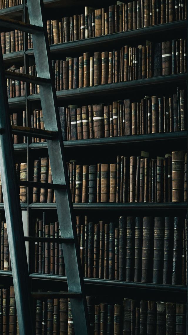 640x1136 library shelf near black wooden ladder - dublin iPhone Wallpaper