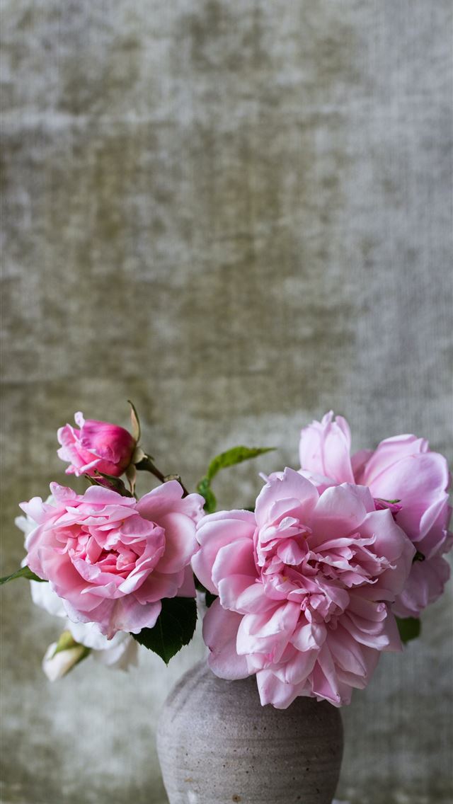 640x1136 pink flowers on gray ceramic vase -  iPhone Wallpaper
