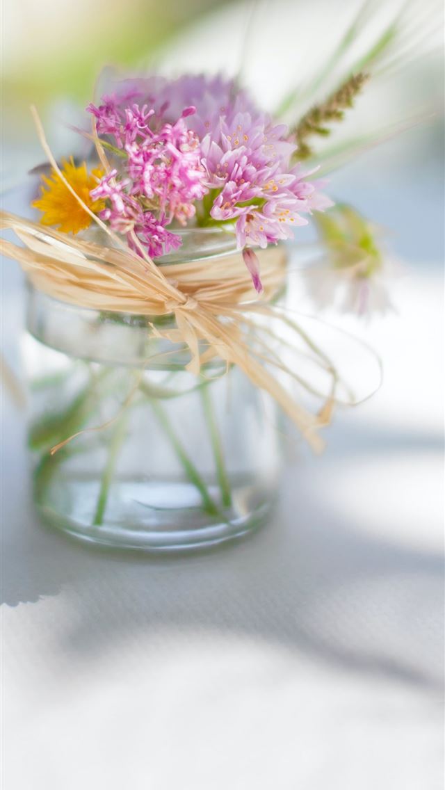 640x1136 purple petaled flower with vase selective focus ph... - wedding iPhone Wallpaper