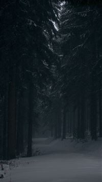 Best Snow Iphone Hd Wallpapers Ilikewallpaper Best Snow Iphone Hd Wallpapers Ilikewallpaper
