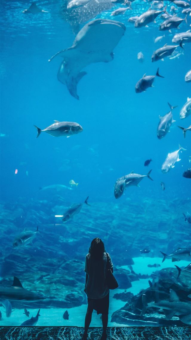640x1136 woman standing infront of aquarium with shoal of f... - atlanta iPhone Wallpaper