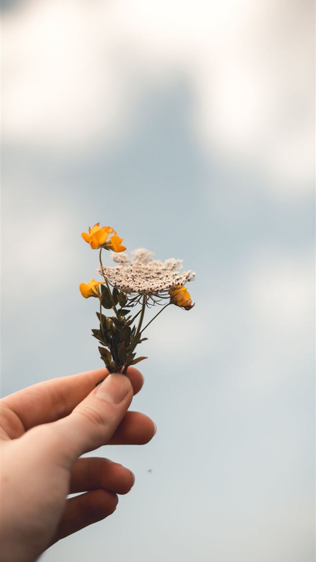 640x1136 person holding flowers - yellow iPhone Wallpaper