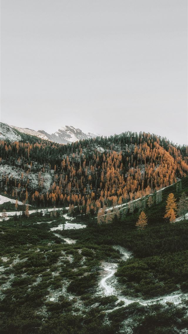 640x1136 birds eye view of mountains - italy iPhone Wallpaper