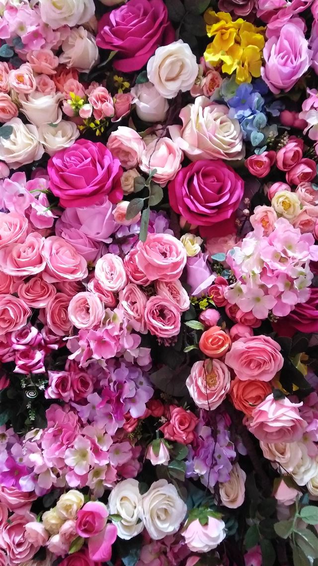 640x1136 assorted color rose flowers - rose iPhone Wallpaper