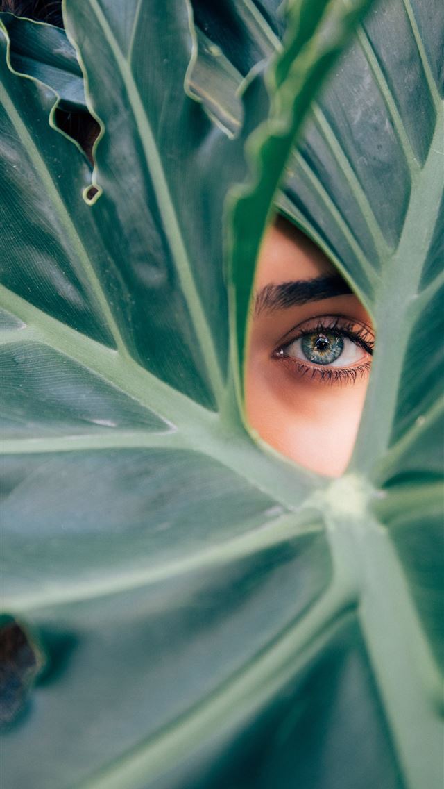 640x1136 woman peeking over green leaf plant taken at dayti... - los angeles iPhone Wallpaper