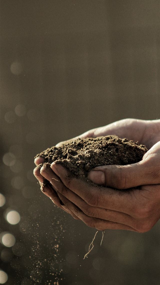 640x1136 bokeh photography of person carrying soil - earth iPhone Wallpaper