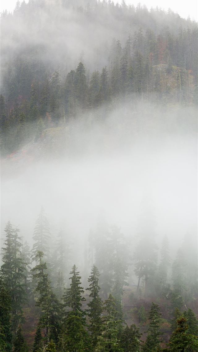 640x1136 cloud covered mountains - wa iPhone Wallpaper