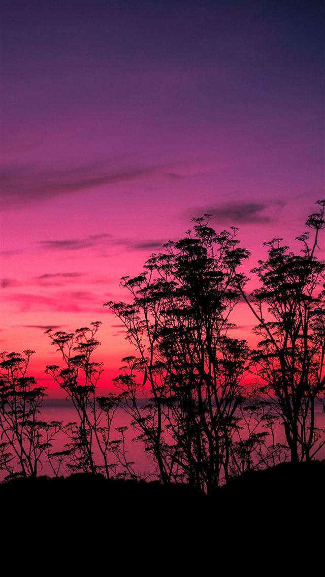 640x1136 pink sunset lake side 5k - lake iPhone Wallpaper