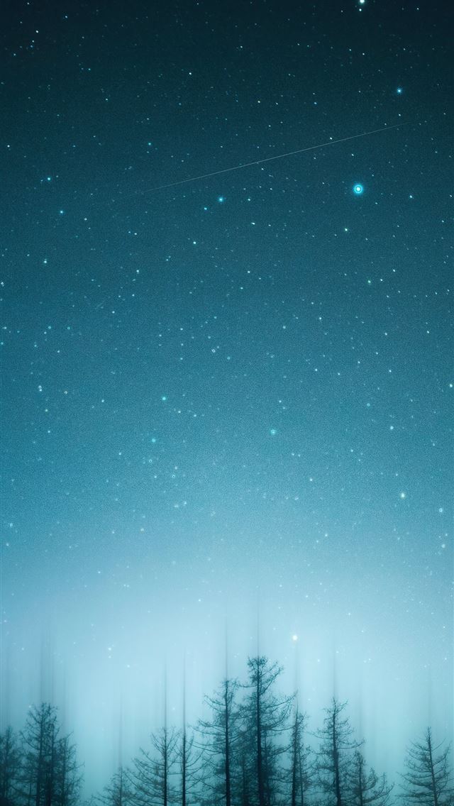 640x1136 green pine trees under blue sky 4k - trees iPhone Wallpaper
