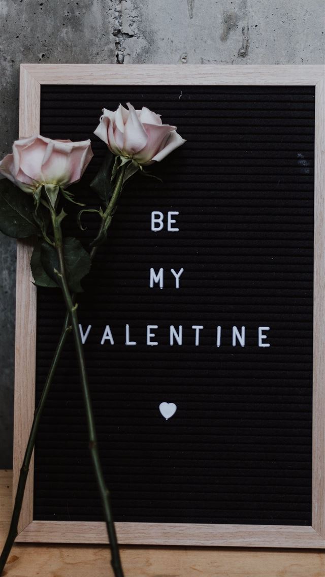 640x1136 two pink roses learning on be my valentine board - modern iPhone Wallpaper