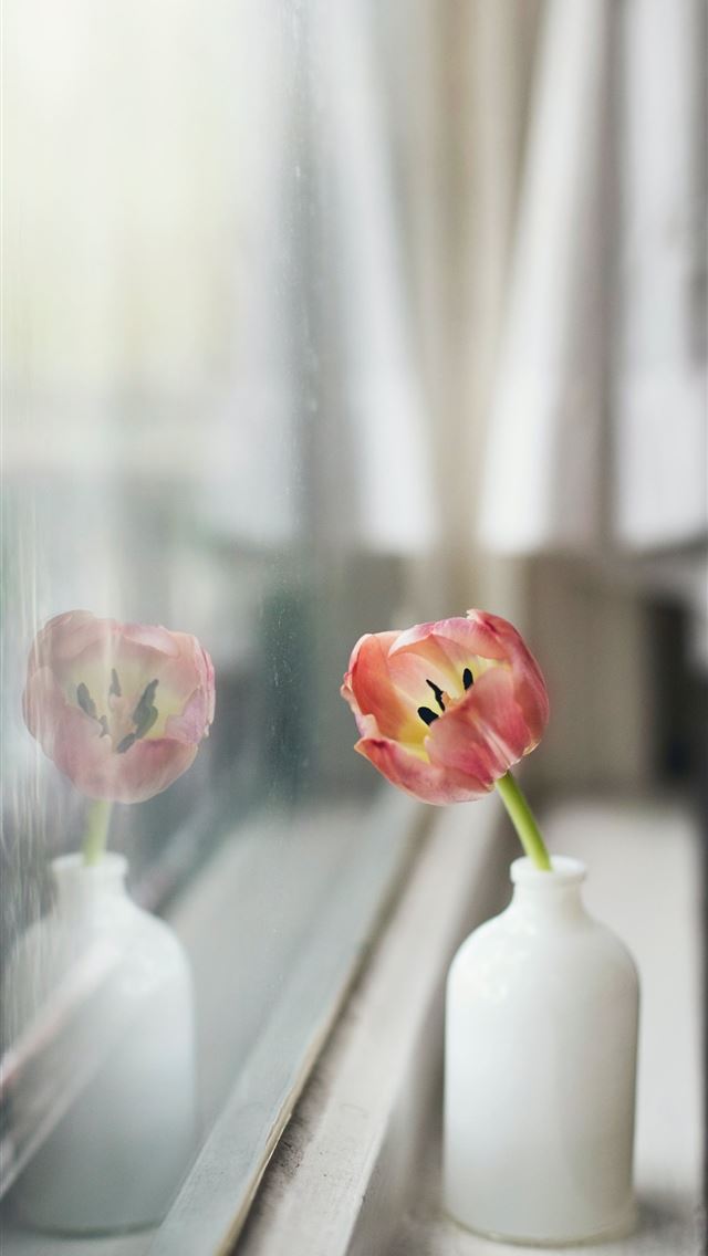 640x1136 pink petaled flower in white glass bottle - spring iPhone Wallpaper