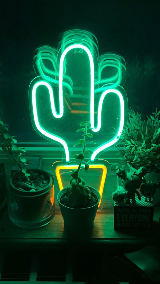640x1136 LED cactus neon light on table - united states iPhone Wallpaper