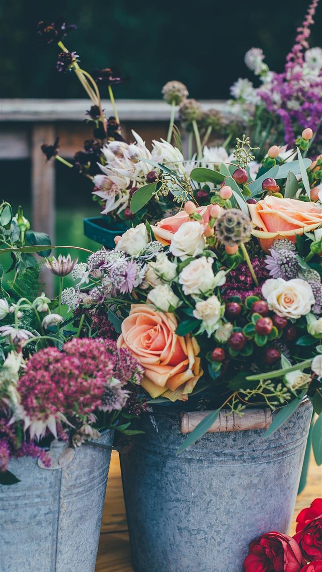 640x1136 assorted flowers on gray metal bucket - love iPhone Wallpaper
