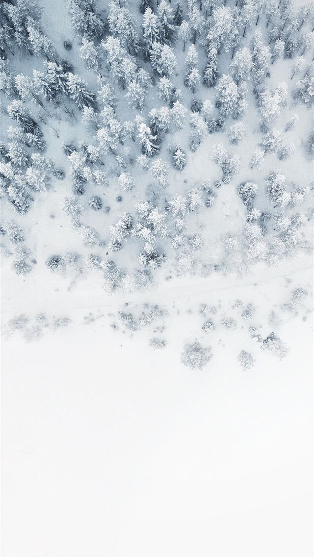 aerial photo of snow covered tree lot iPhone wallpaper 