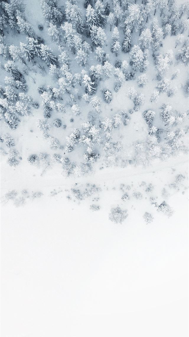 640x1136 aerial photo of snow covered tree lot - earth iPhone Wallpaper