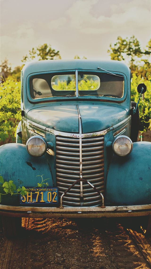 640x1136 classic blue vehicle between vineyard photo - vintage iPhone Wallpaper