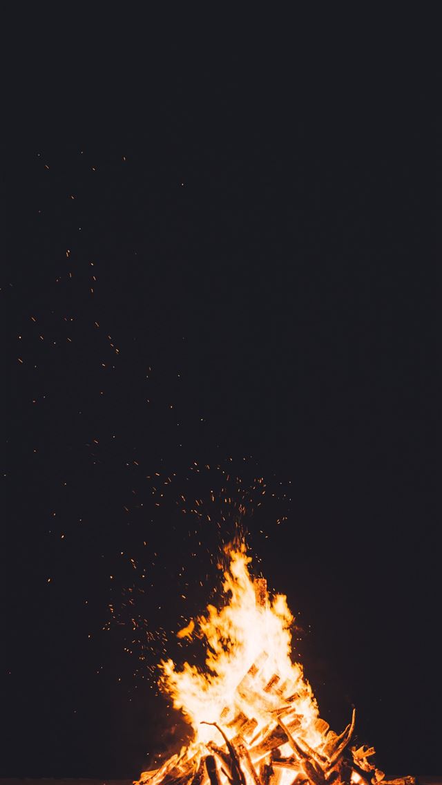 640x1136 photography of burning camp fire - fire iPhone Wallpaper