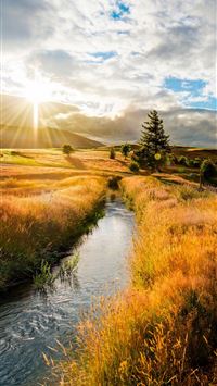 grass hill sunset summer field wallpaper