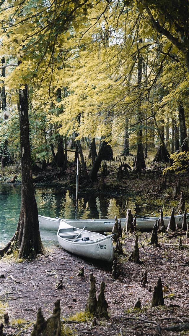 640x1136 two gray canoes beside green trees - spring iPhone Wallpaper