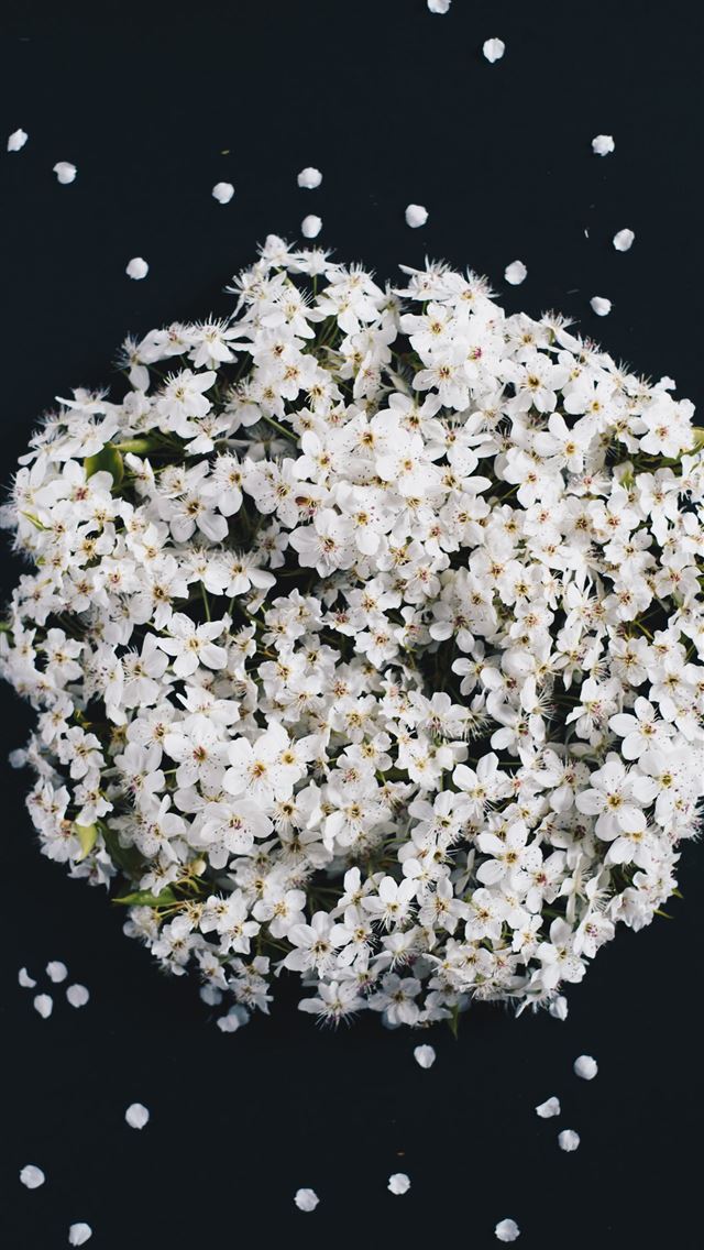 white flower bouquet iPhone wallpaper 