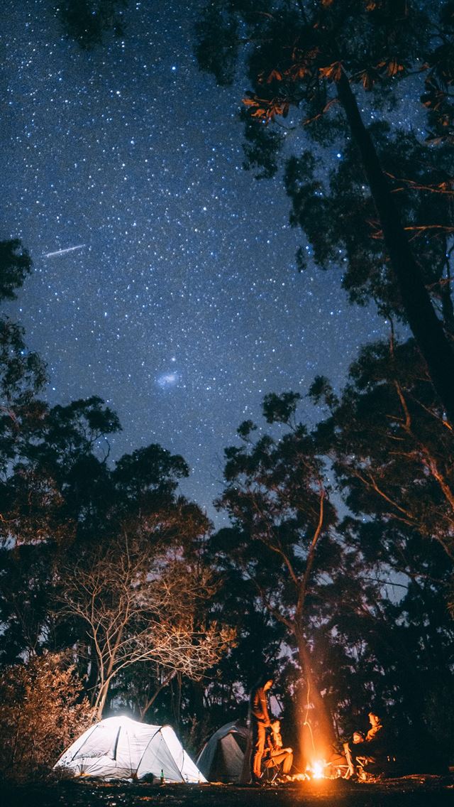 640x1136 person sitting near bonfire surrounded by trees - travel iPhone Wallpaper