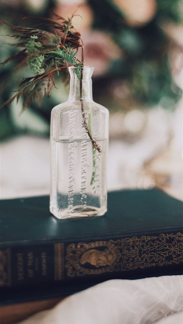 640x1136 selective focus photography of green leafed plant ... - vintage iPhone Wallpaper