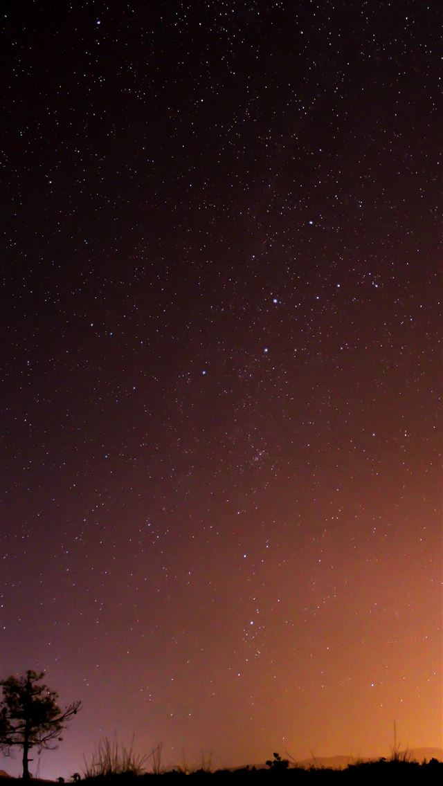 640x1136 silhouette photo of tree and grass during night ti... - greece iPhone Wallpaper
