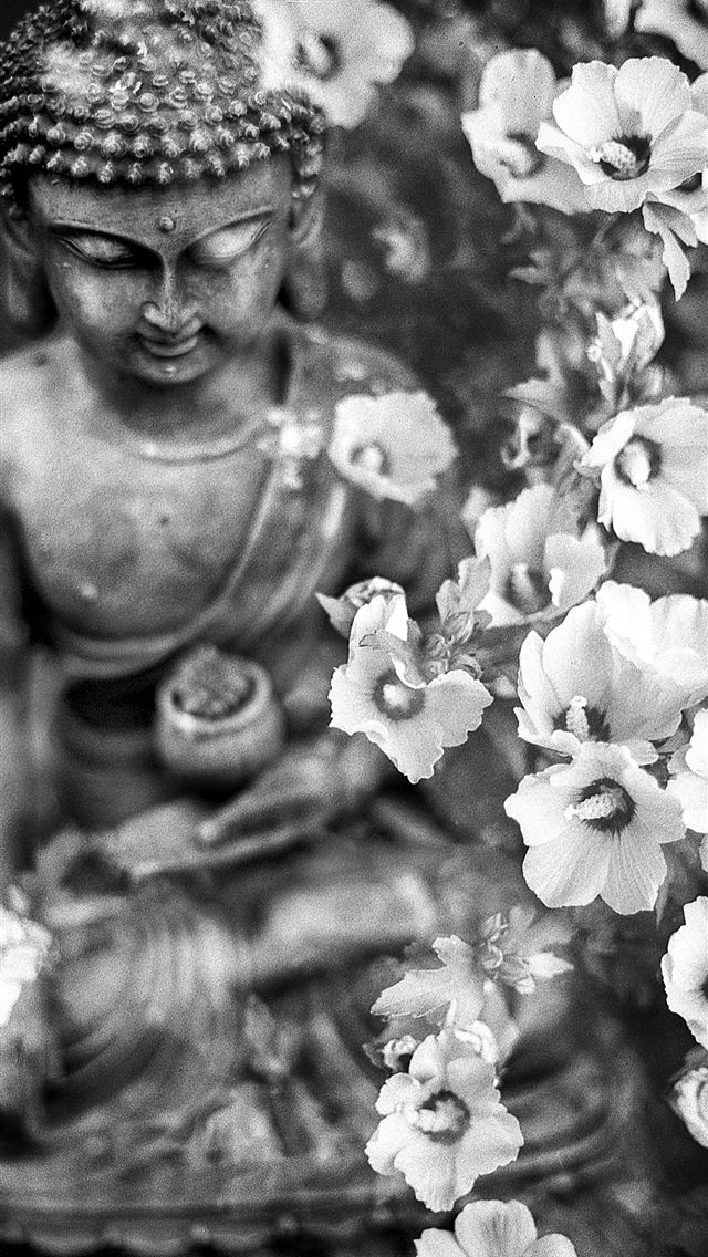640x1136 Gautama Buddha statue -  iPhone Wallpaper