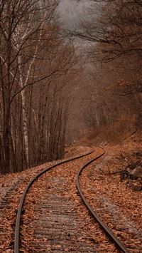 landscape photography of train rails between fores... wallpaper