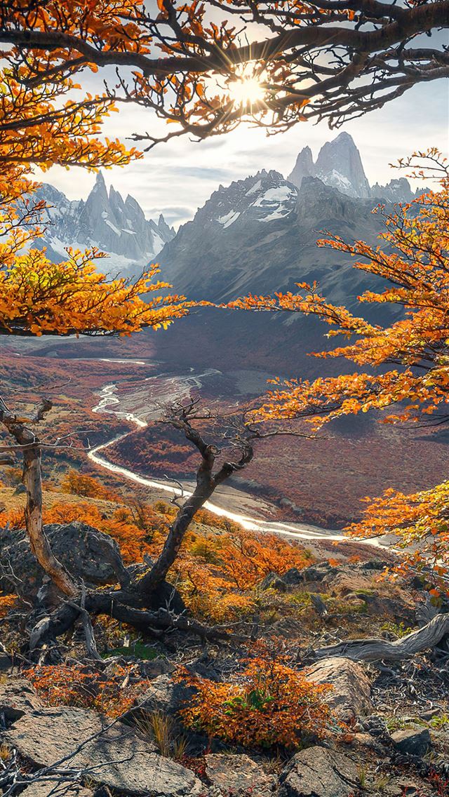 beautiful autumn colours in patagonia 4k iPhone wallpaper 