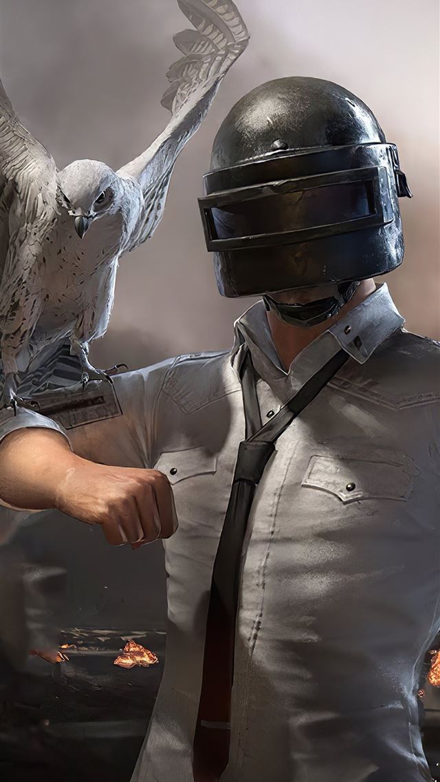 1284x2778 324123 PUBG Mobile Falcon 4K phone HD Images Backg... - pubg iPhone Wallpaper