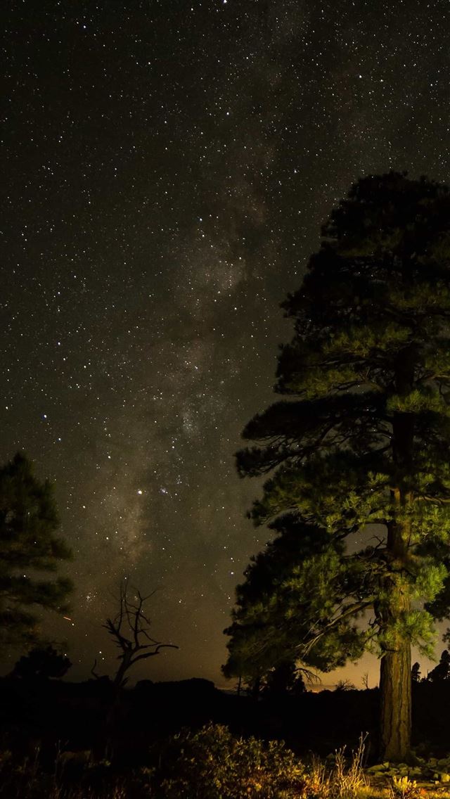 1284x2778 4k - 4k iPhone Wallpaper