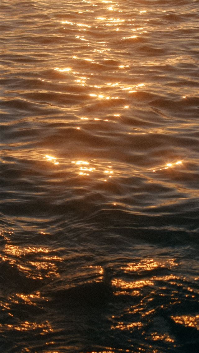 1284x2778 calm sea during golden hour - light iPhone Wallpaper