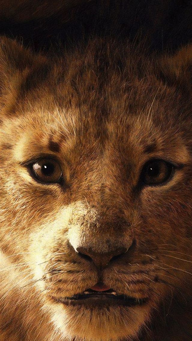 1284x2778 simba the lion king 2019 movie samsung galaxy s8 s... - lion iPhone Wallpaper