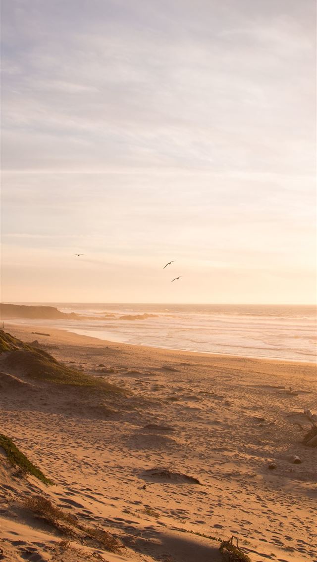 1284x2778 beach 5k 4k 8k ocean sunset Nature - beach iPhone Wallpaper